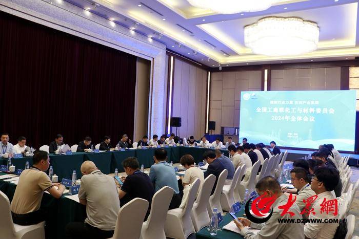 天下工商联化工与资料委员会2024年全领略议正在菏召开(图1)