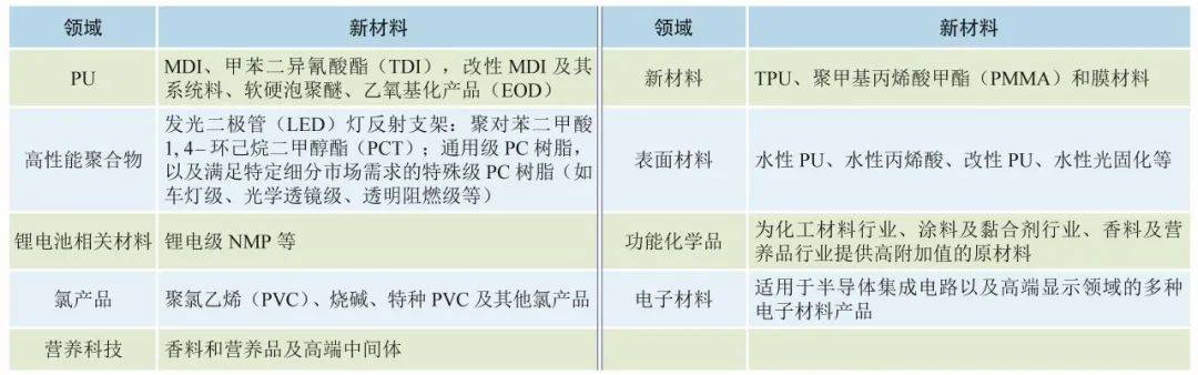 中心引荐 我邦化工新质料的兴盛机缘与倡议(图2)